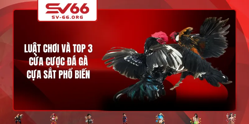 Luật chơi và top 3 cửa cược đá gà cựa sắt phổ biến
